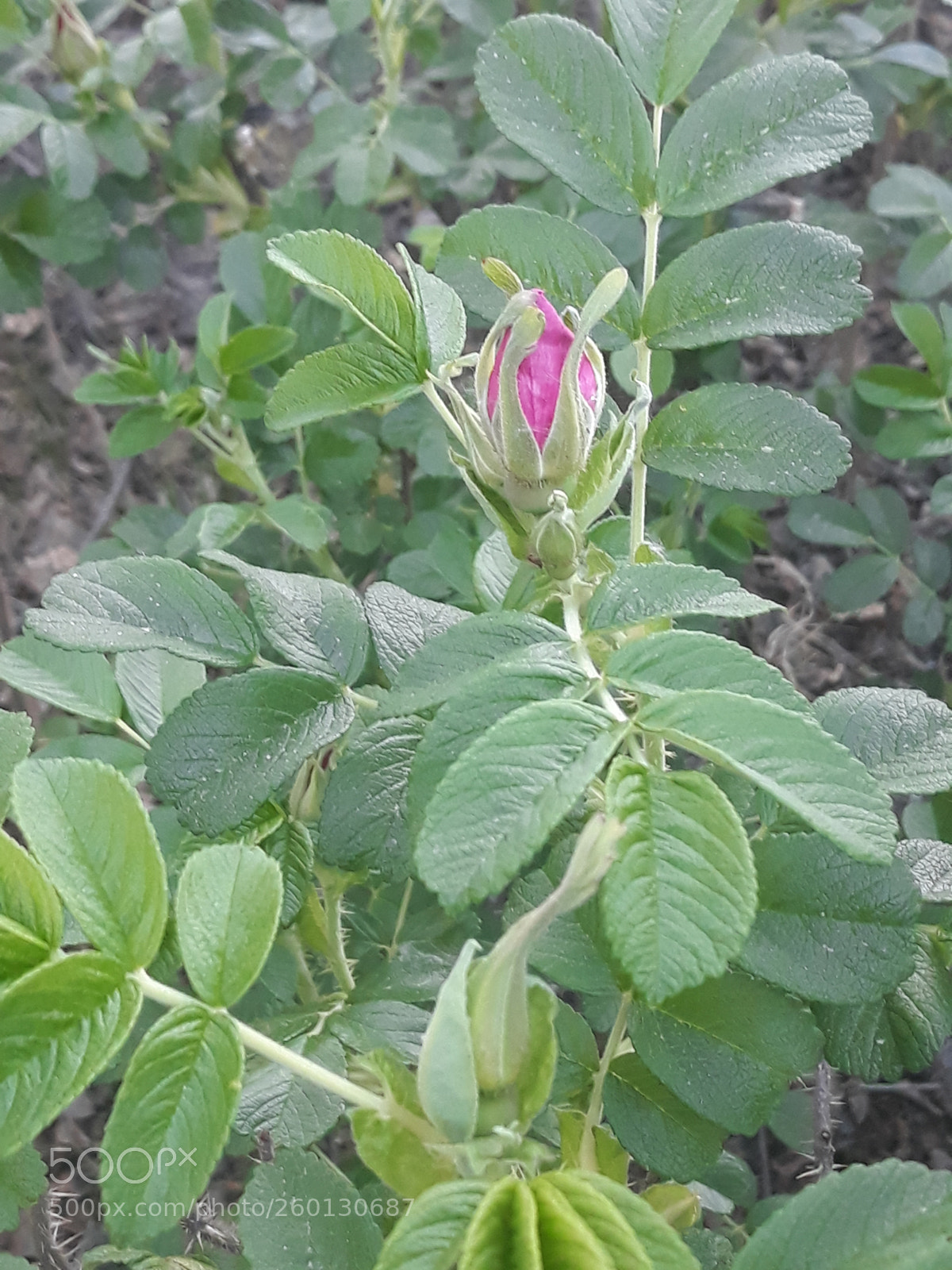 Samsung Galaxy J7 sample photo. Untitled photography