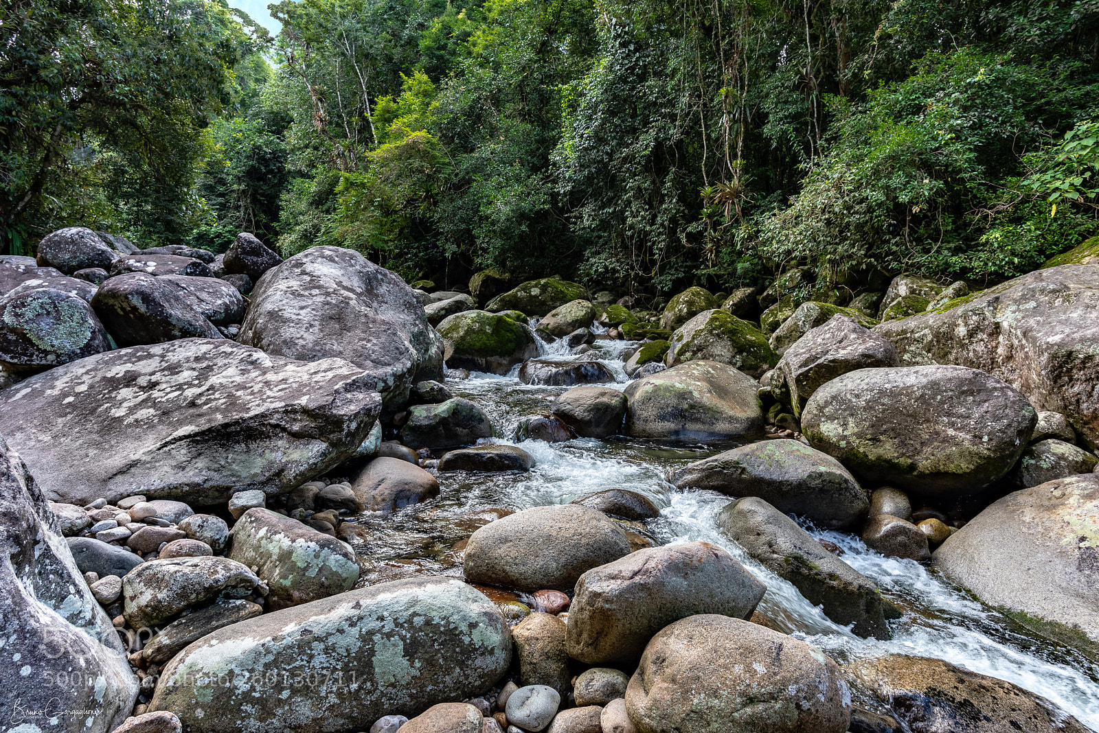 Nikon D750 sample photo. Lazy pit photography