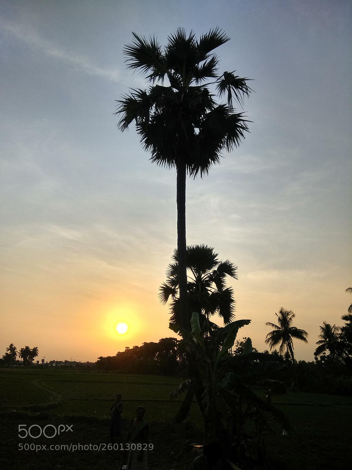Xiaomi Redmi Note 4 sample photo. Sun set photography
