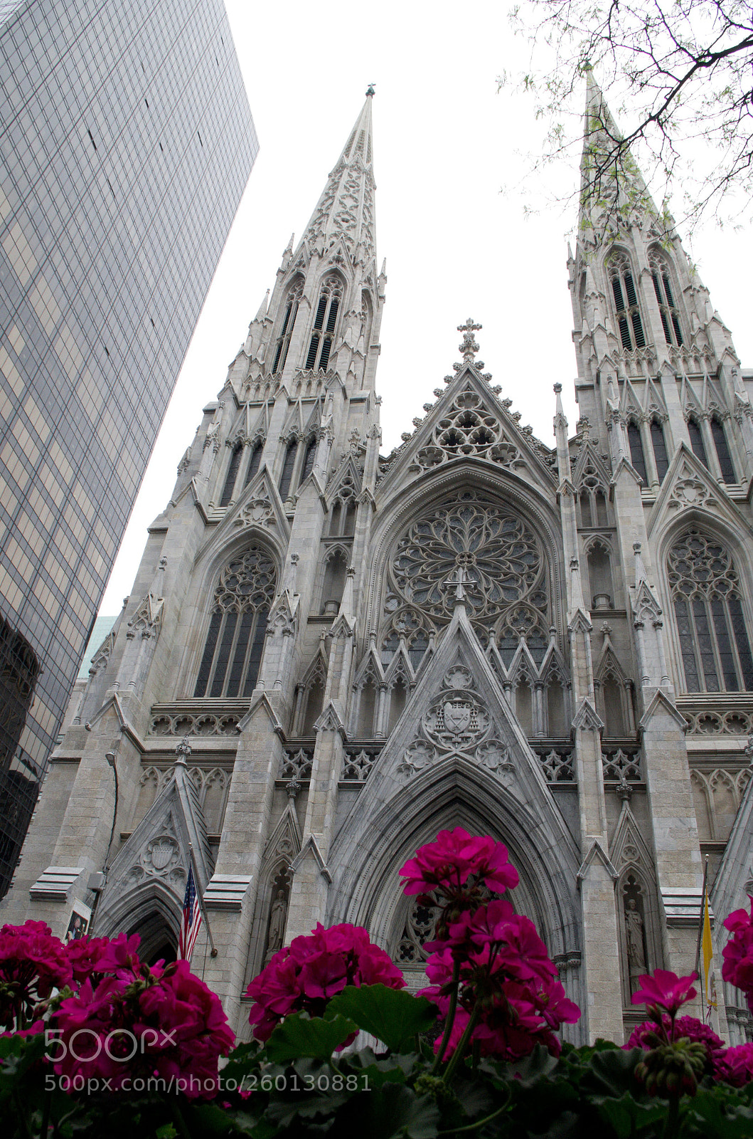 Pentax K-500 sample photo. St.patrick cathedral photography