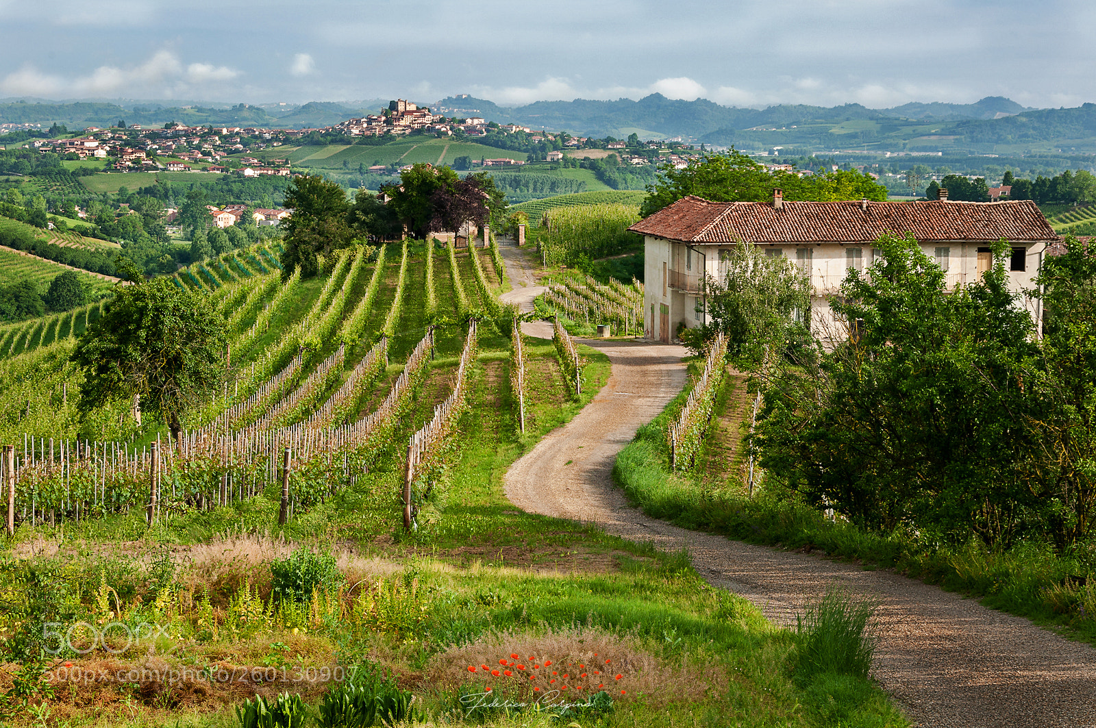 Nikon D90 sample photo. Langhe view near grinzane photography