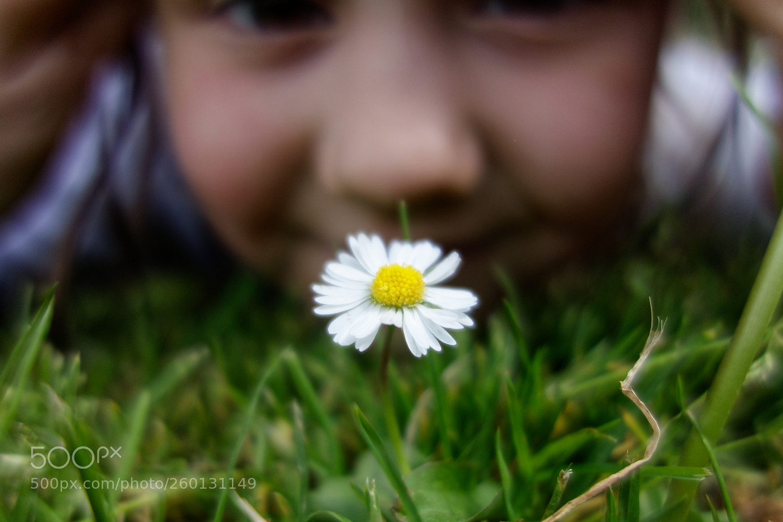Sony Cyber-shot DSC-RX100 sample photo. Daisey and girl photography