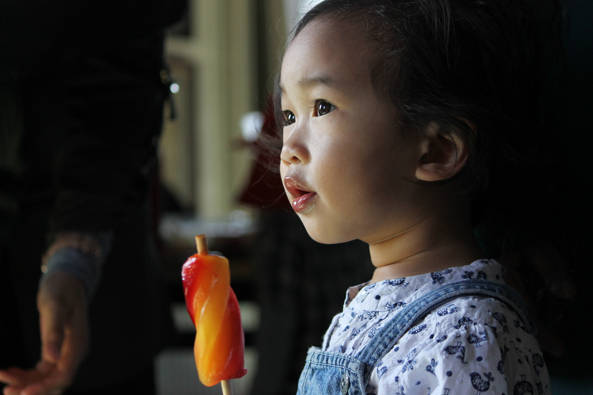 Canon EF-S 55-250mm F4-5.6 IS sample photo