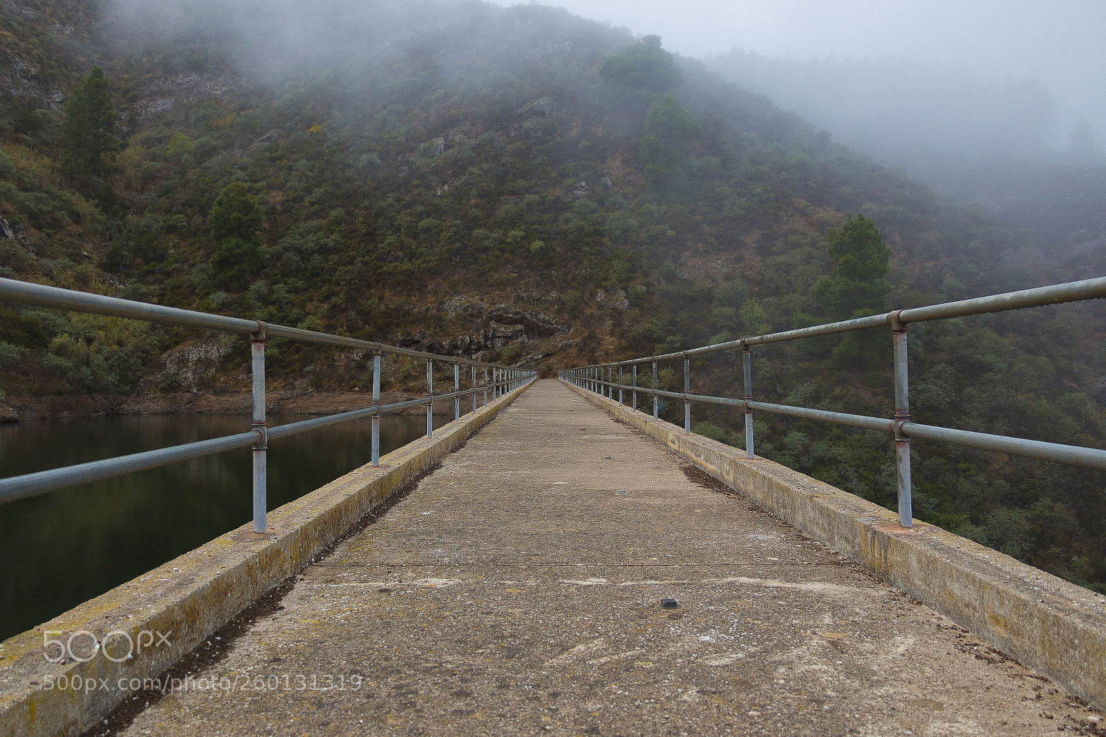 Canon EOS 70D sample photo. Presa los hoyos photography