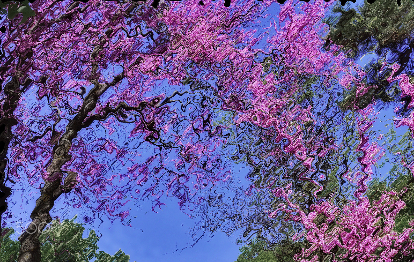 Sony SLT-A68 sample photo. Abstract composition "colours of spring" photography