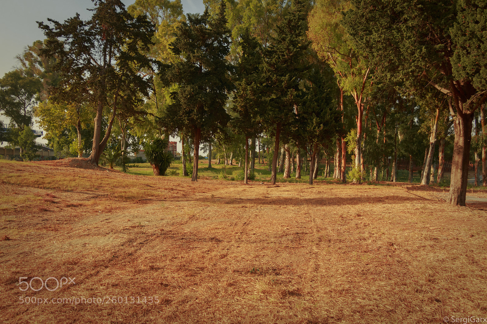 Canon EOS 70D sample photo. Campamento beni tez, m photography