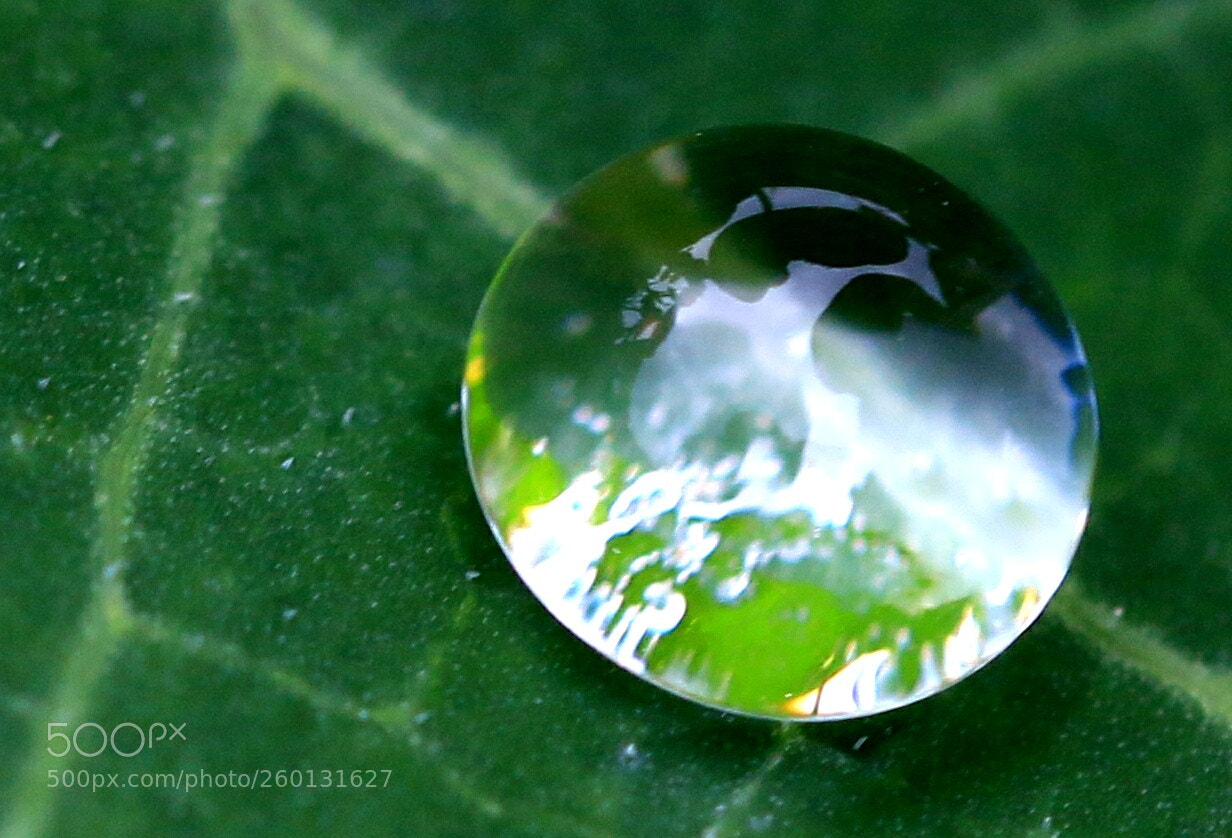 Canon EOS 70D sample photo. Untitled photography
