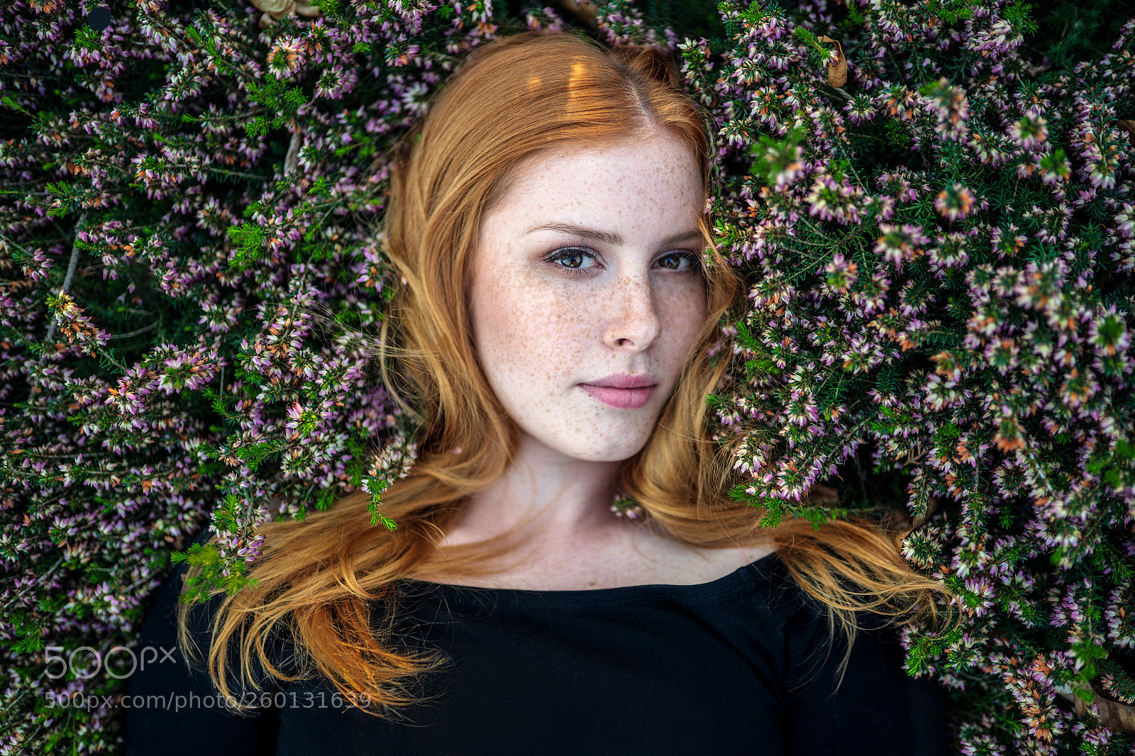 Sony a7 III sample photo. Lenka photography