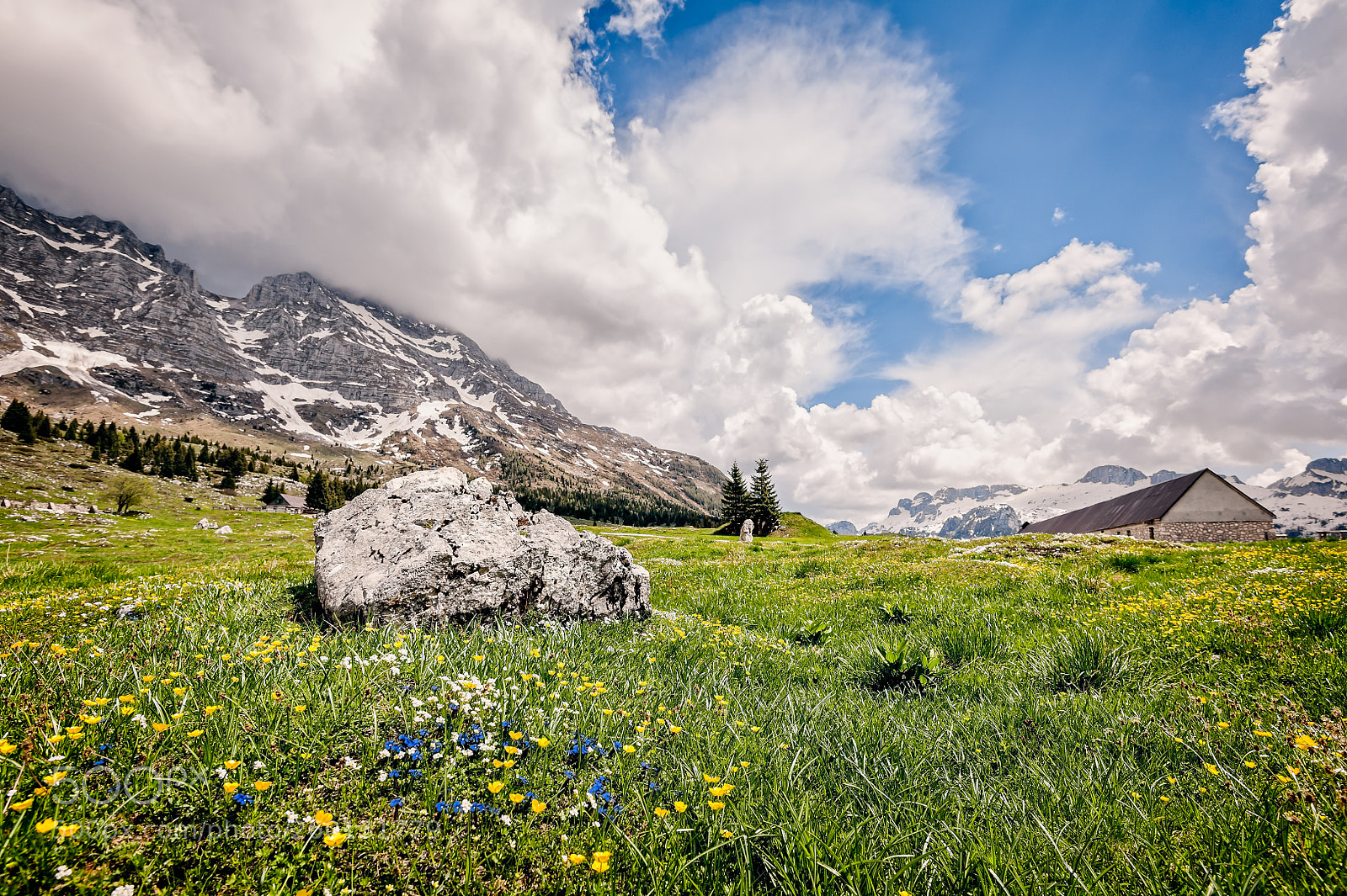 Nikon D700 sample photo. Plateau of montasio. mountain photography