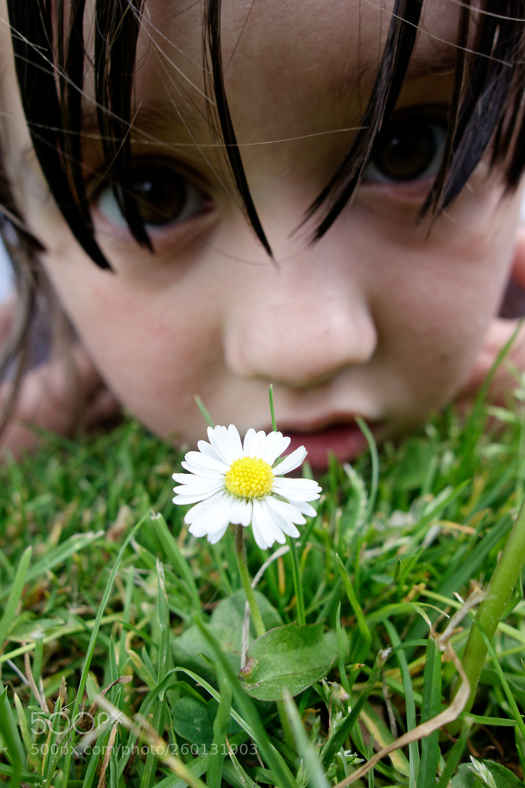 Sony Cyber-shot DSC-RX100 sample photo. Girl and daisy photography