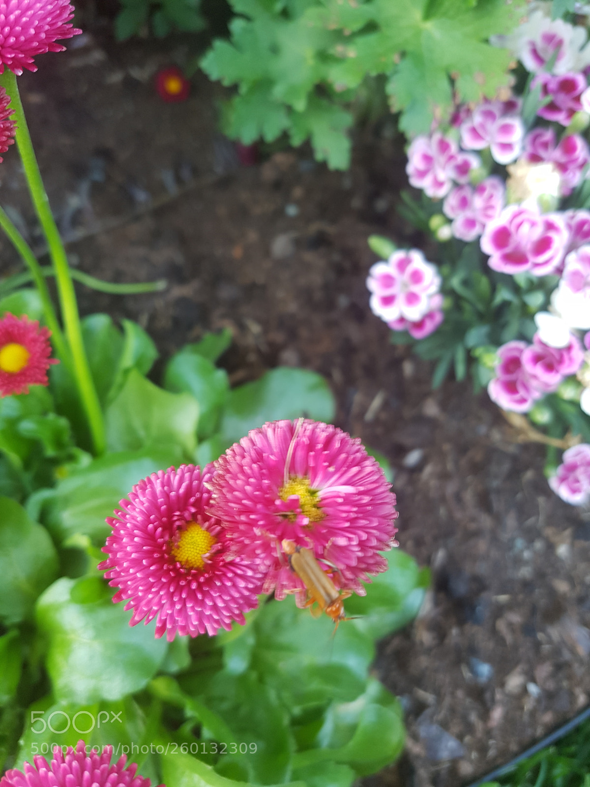 Samsung Galaxy S7 sample photo. Untitled photography