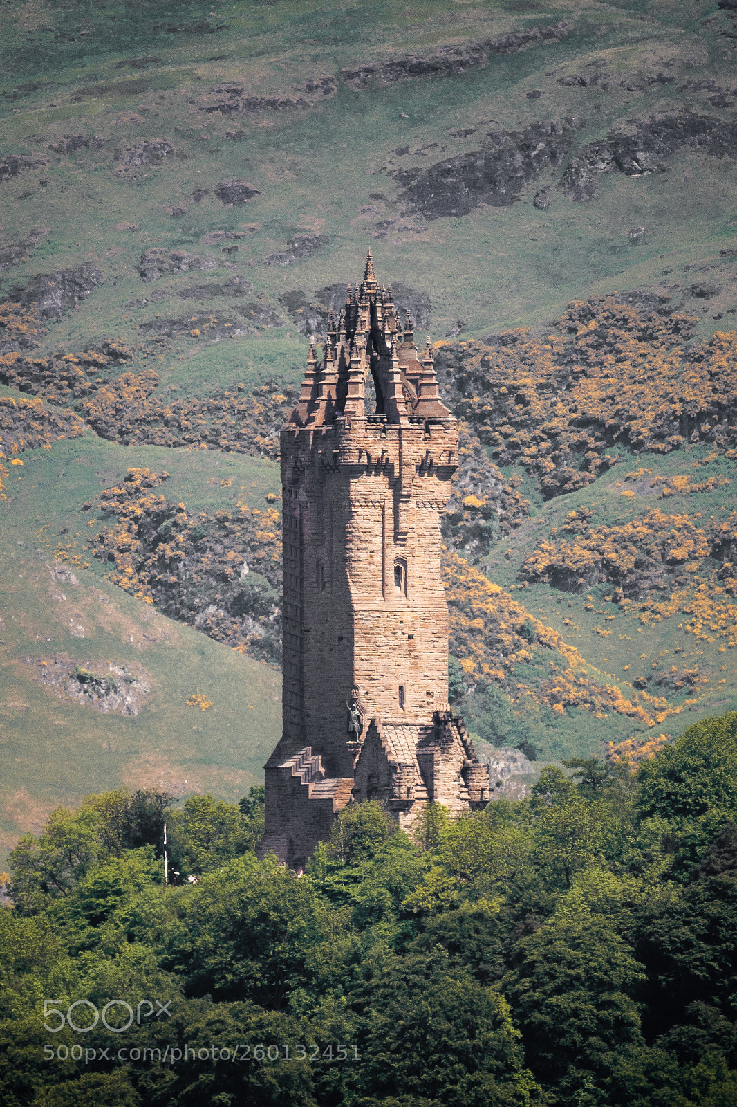 Nikon D850 sample photo. National wallace monument  photography