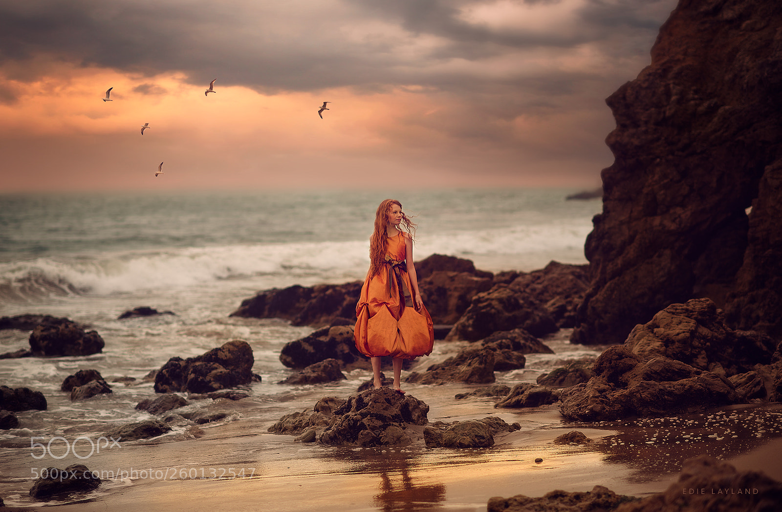 Nikon D850 sample photo. Ginger by the sea photography