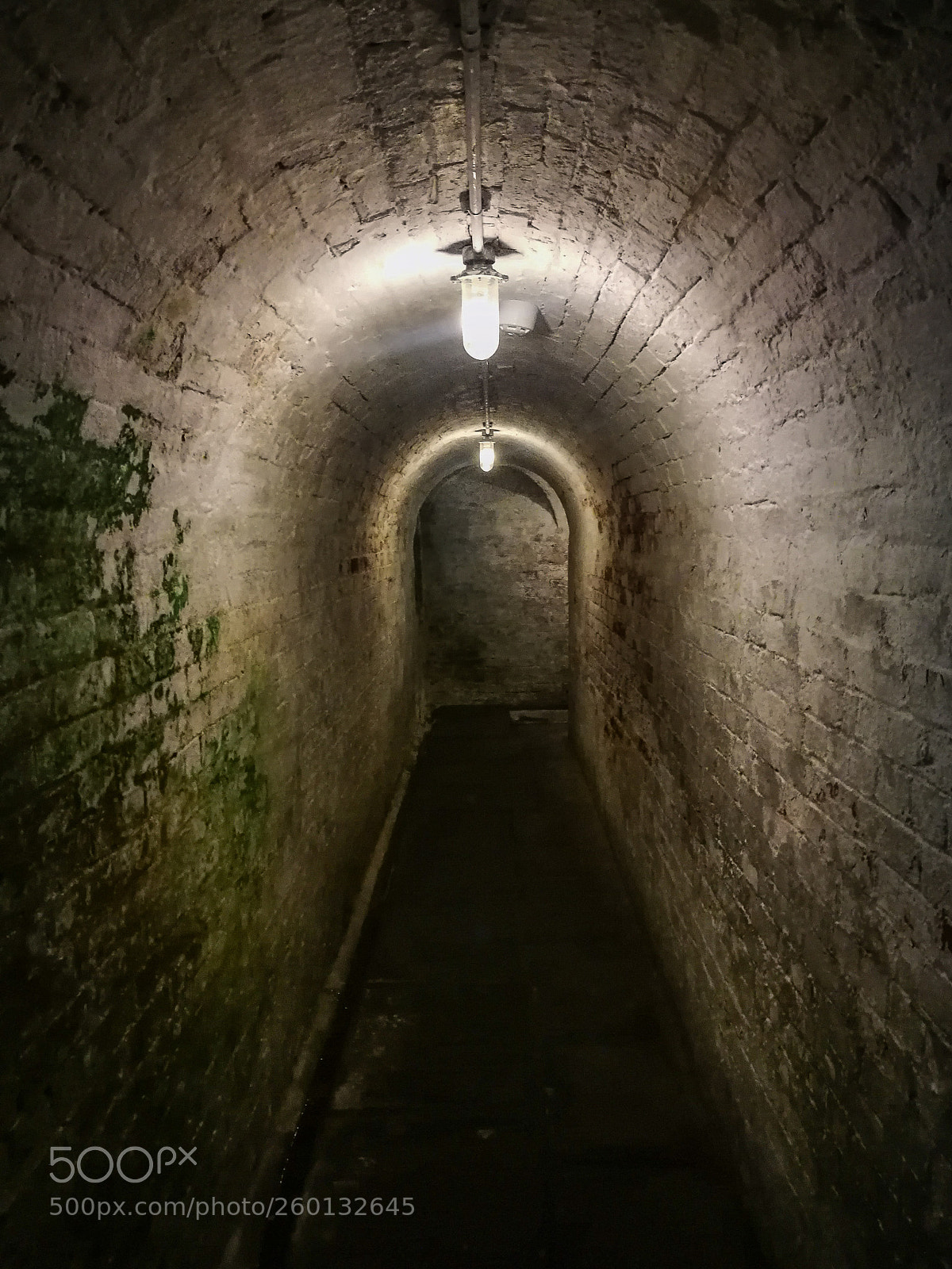 HUAWEI P9 sample photo. Cellars photography