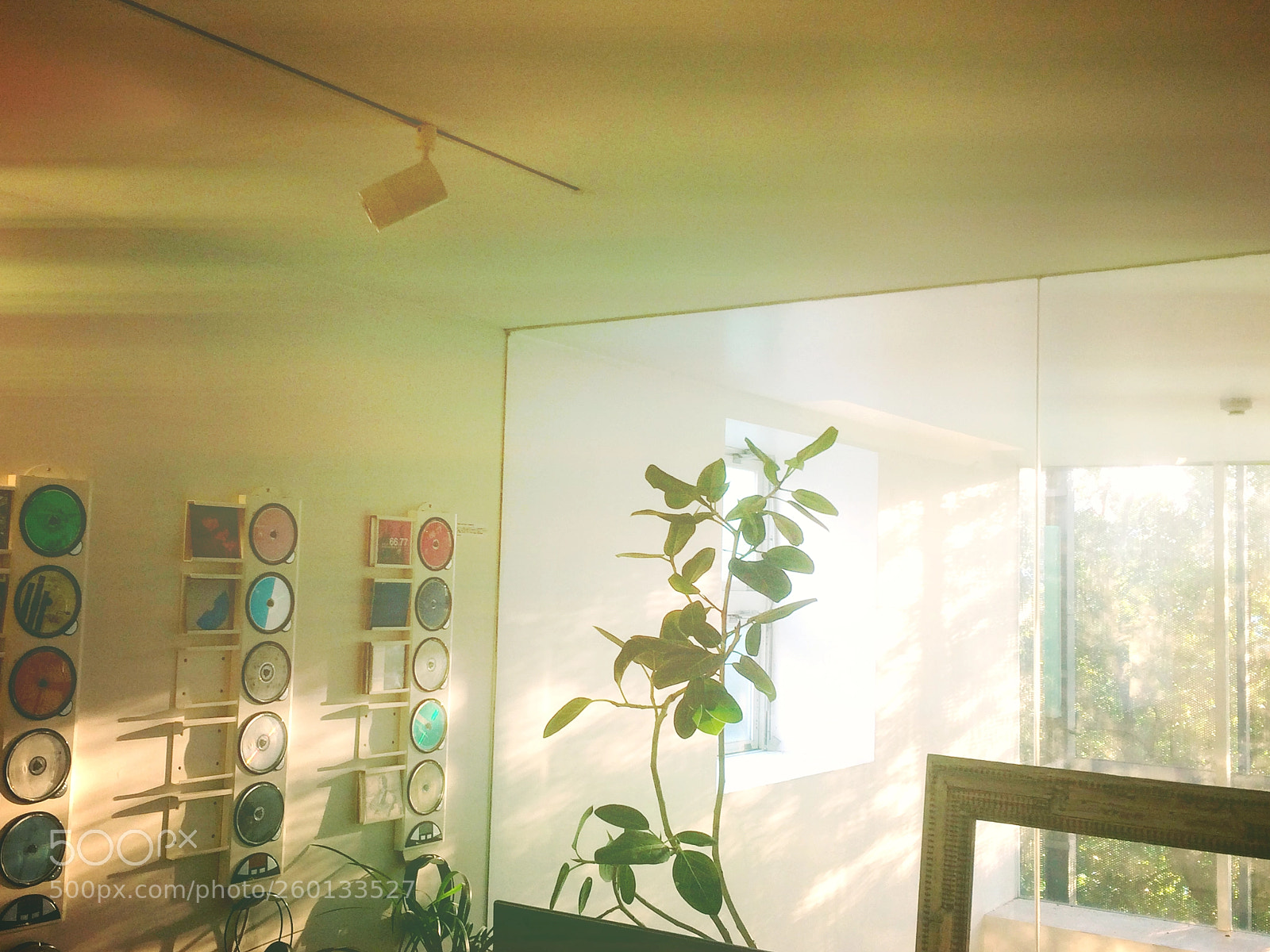 Apple iPhone 5s sample photo. 優しい光・・・gentle light photography