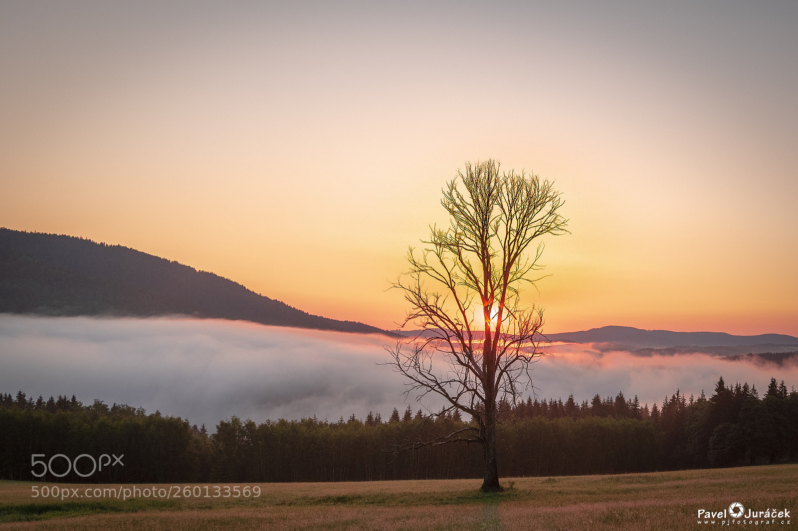 Nikon D5600 sample photo. Šumava jaro 2018 ... 007. photography