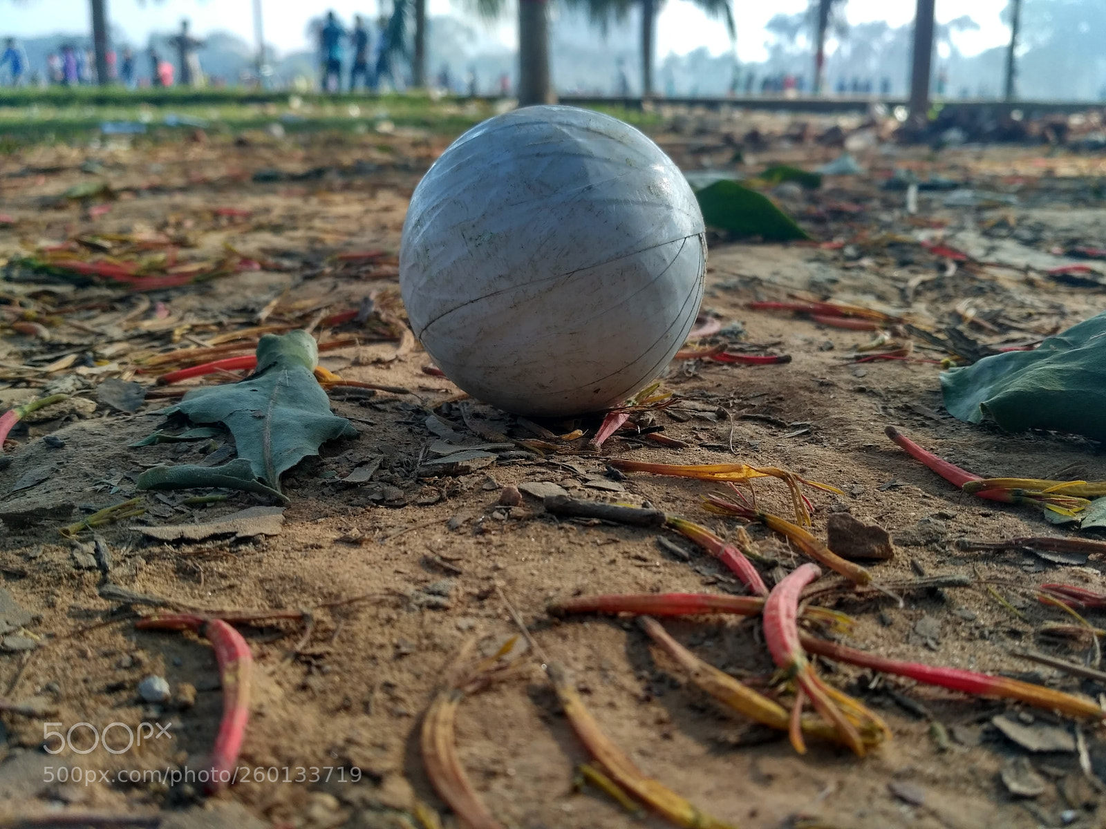 Xiaomi Redmi 3S sample photo. Untitled photography