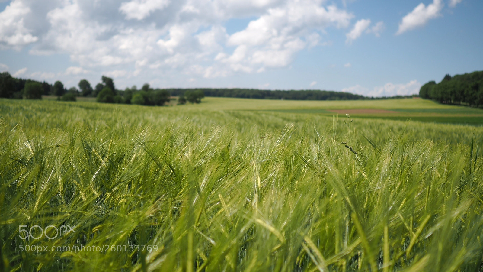 Olympus OM-D E-M5 II sample photo. Untitled photography