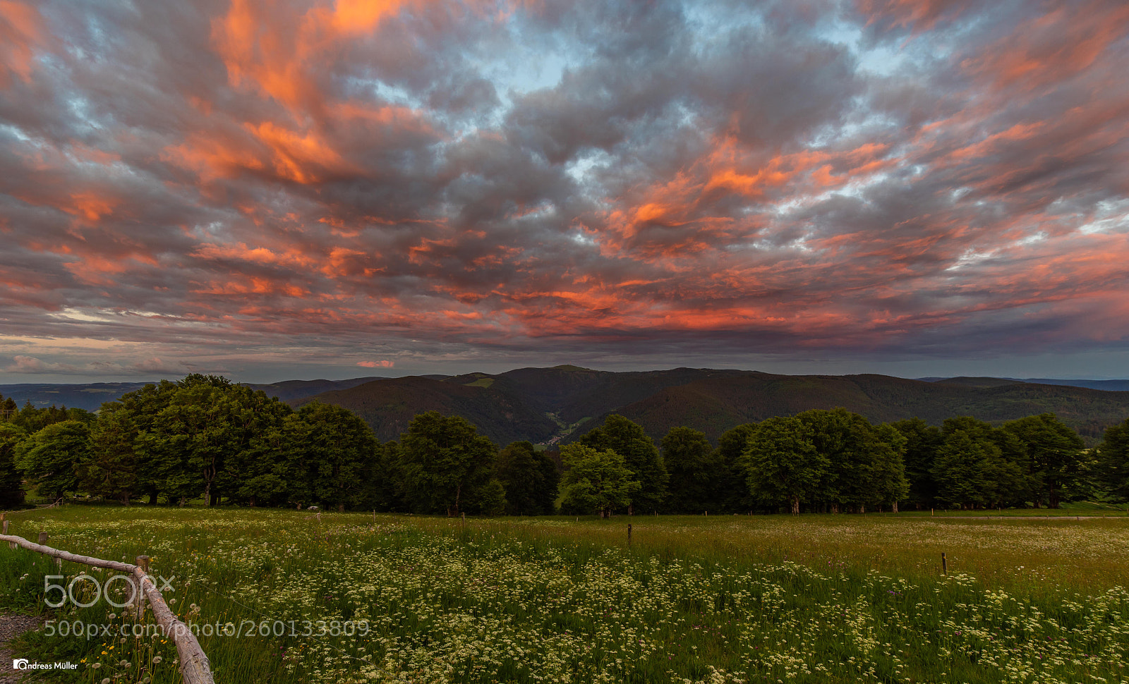 Nikon D810 sample photo. Sunset photography