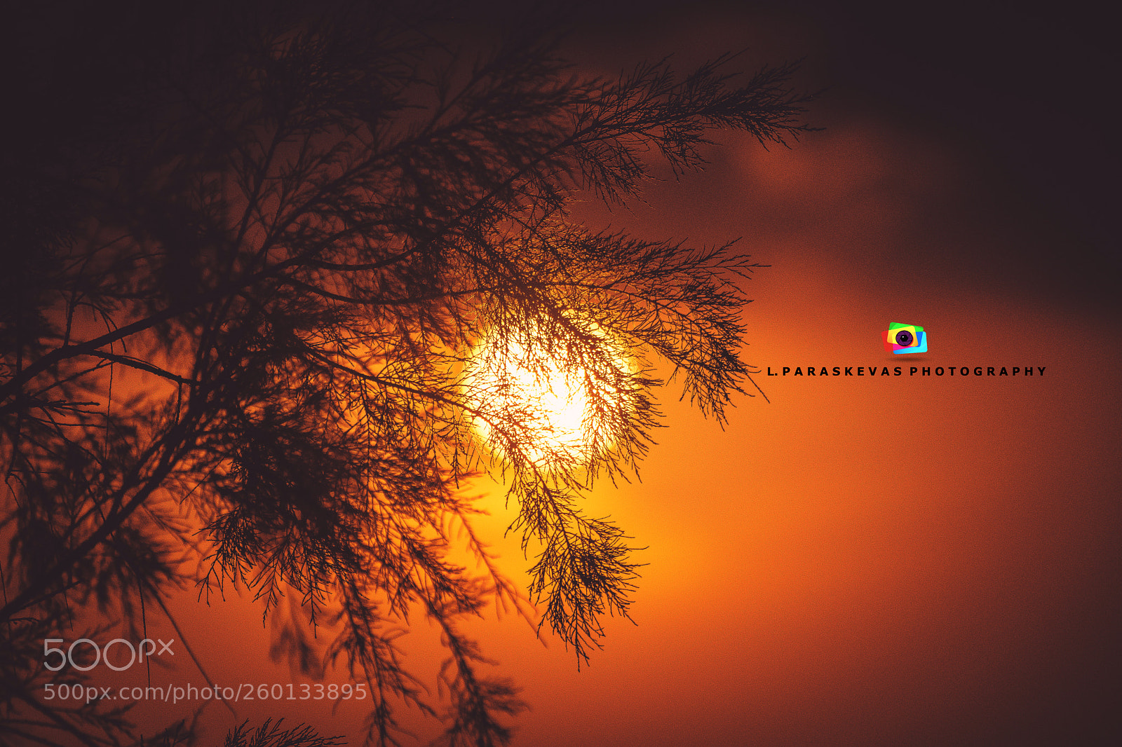Nikon D7200 sample photo. Sunset photography