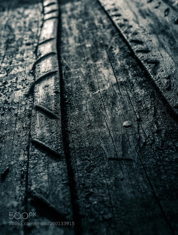 Nikon D750 sample photo. Light on the planks photography