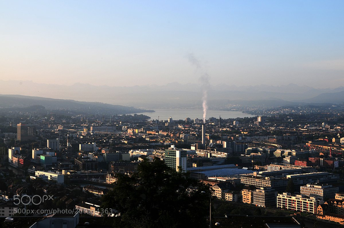 Nikon D300 sample photo. Small photography