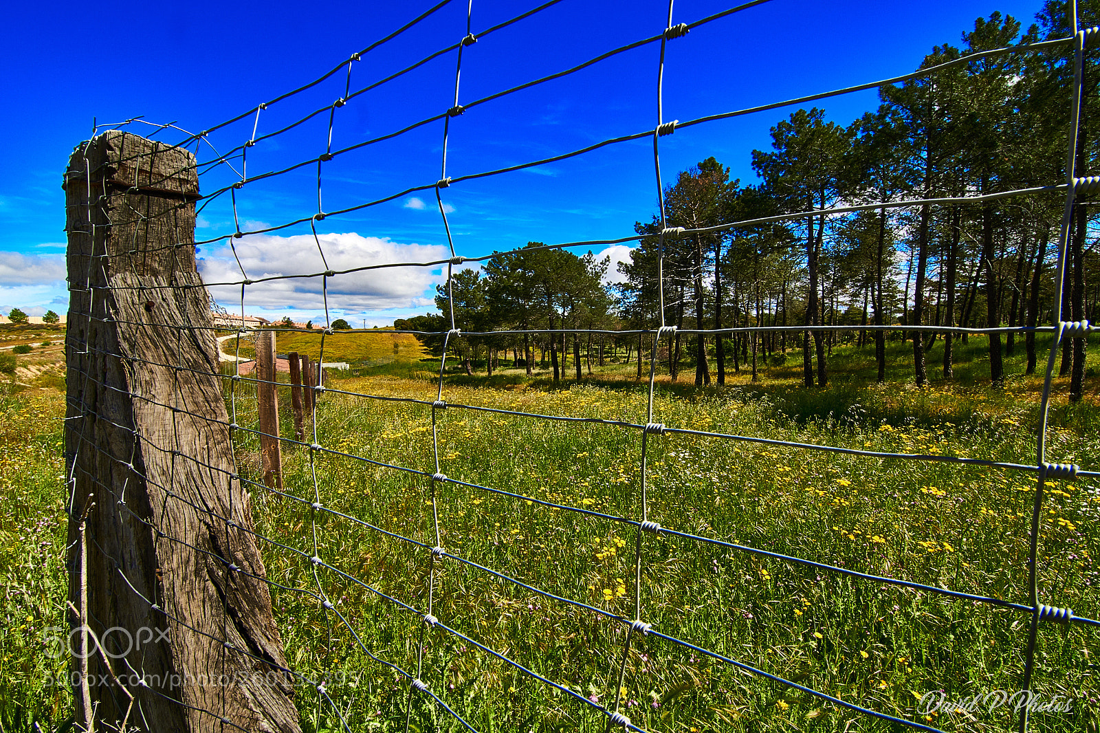 Nikon D7500 sample photo. Landscape photography