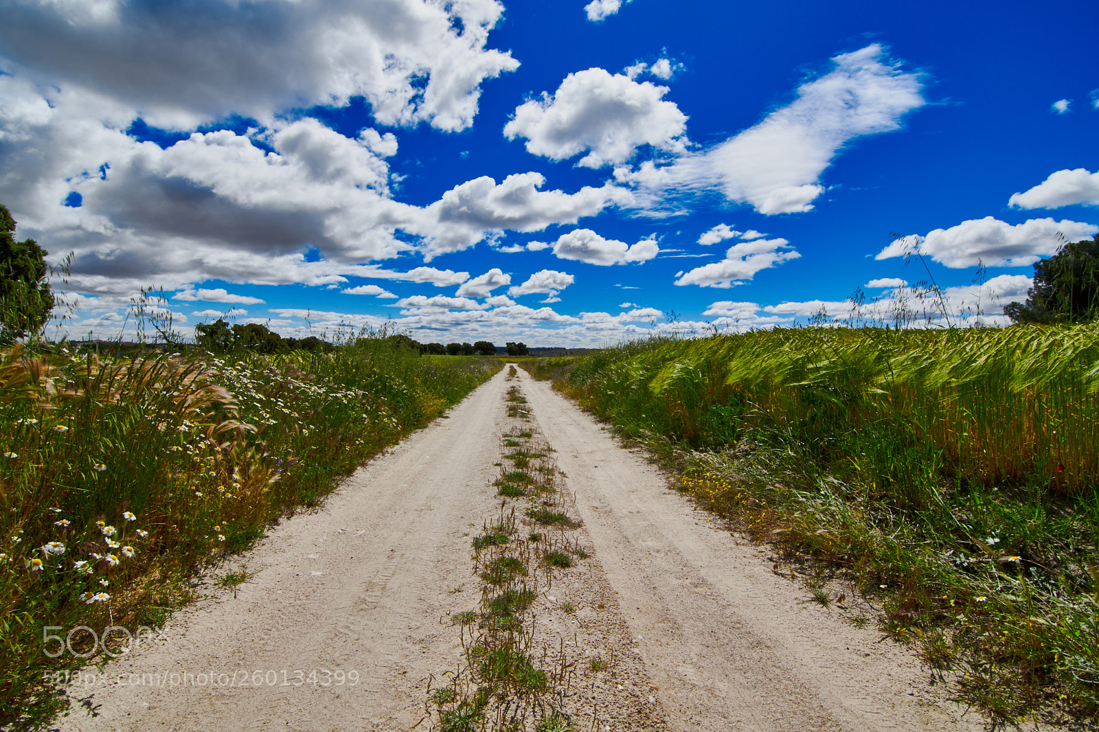 Nikon D7500 sample photo. Only one way photography