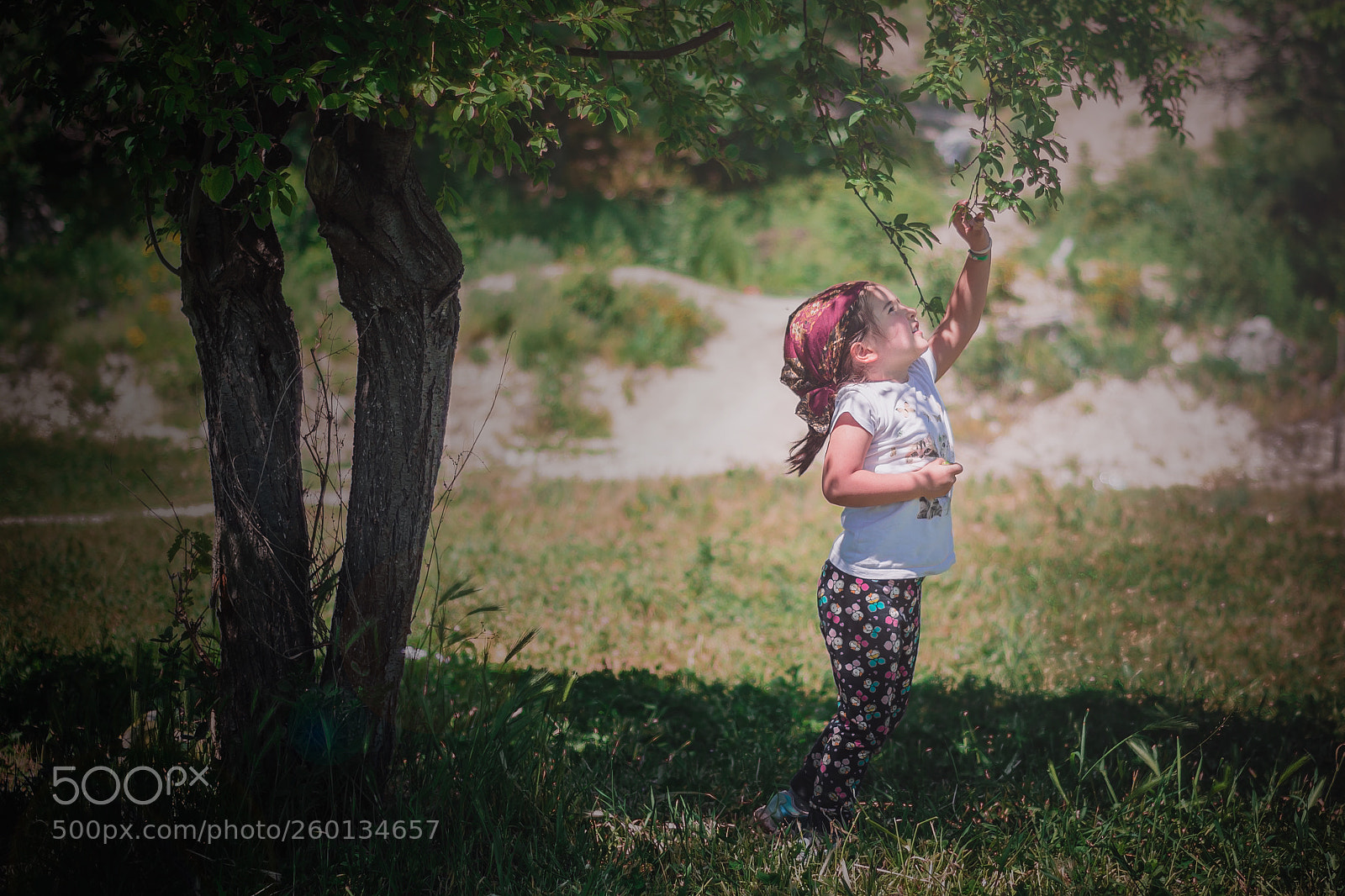 Nikon D7100 sample photo. Aden photography