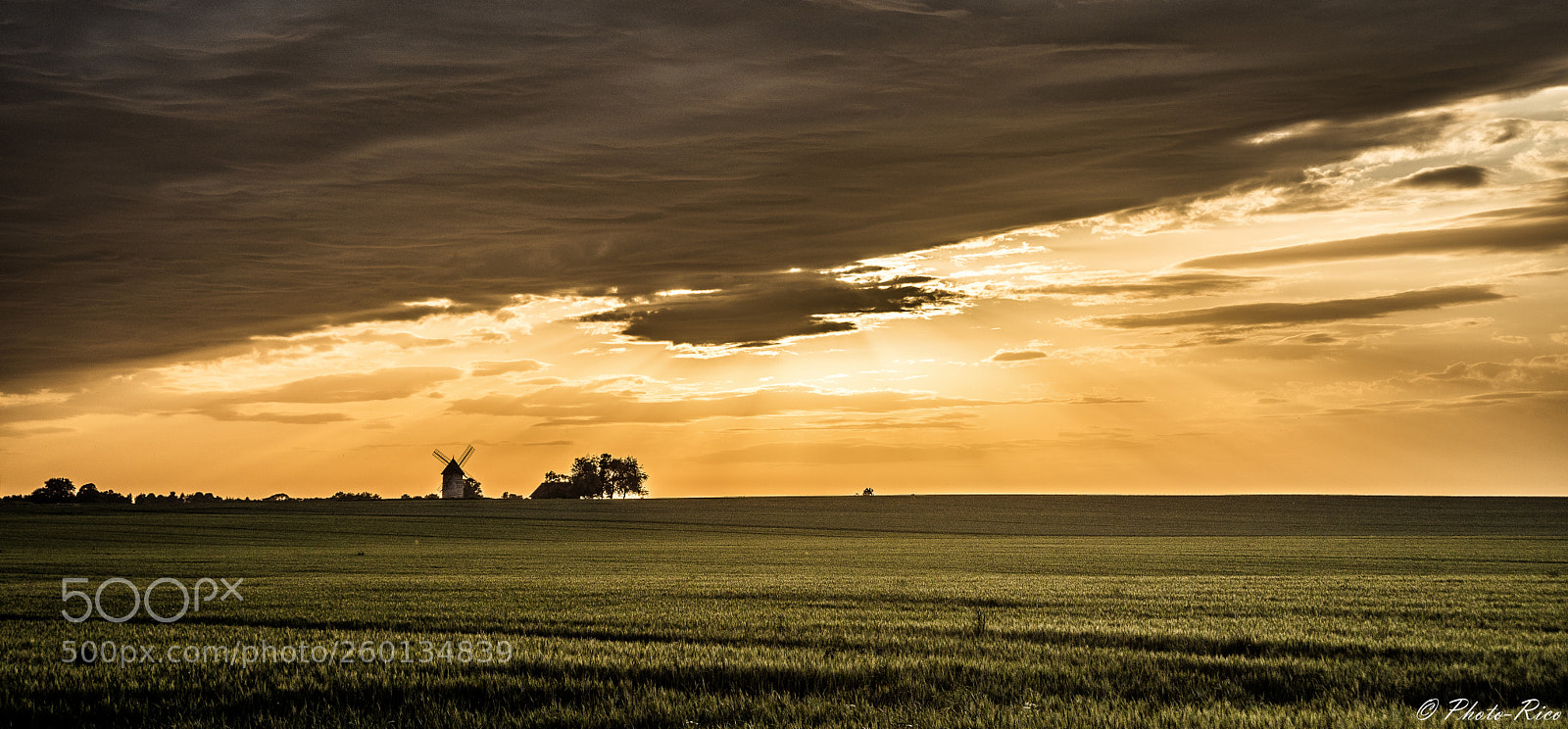 Nikon D750 sample photo. Le moulin photography