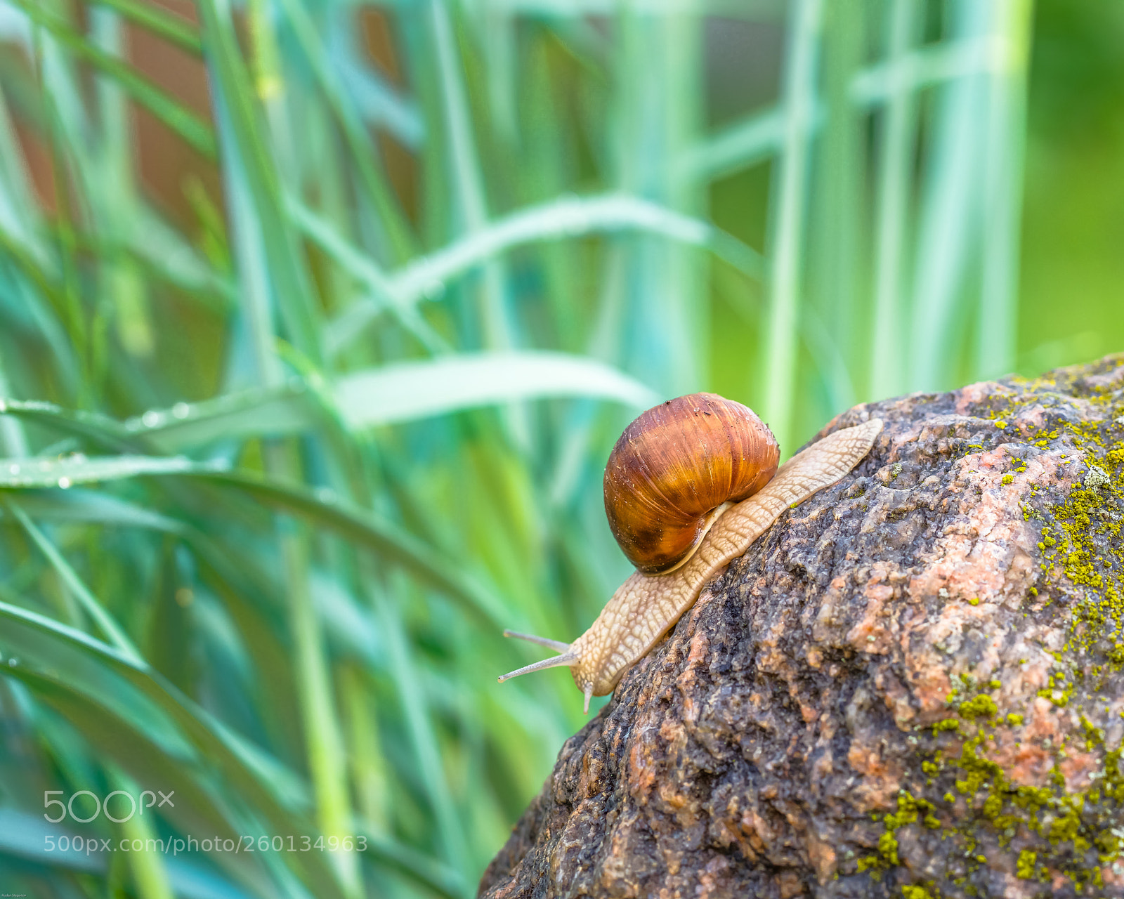 Canon EOS 5DS R sample photo. ... photography