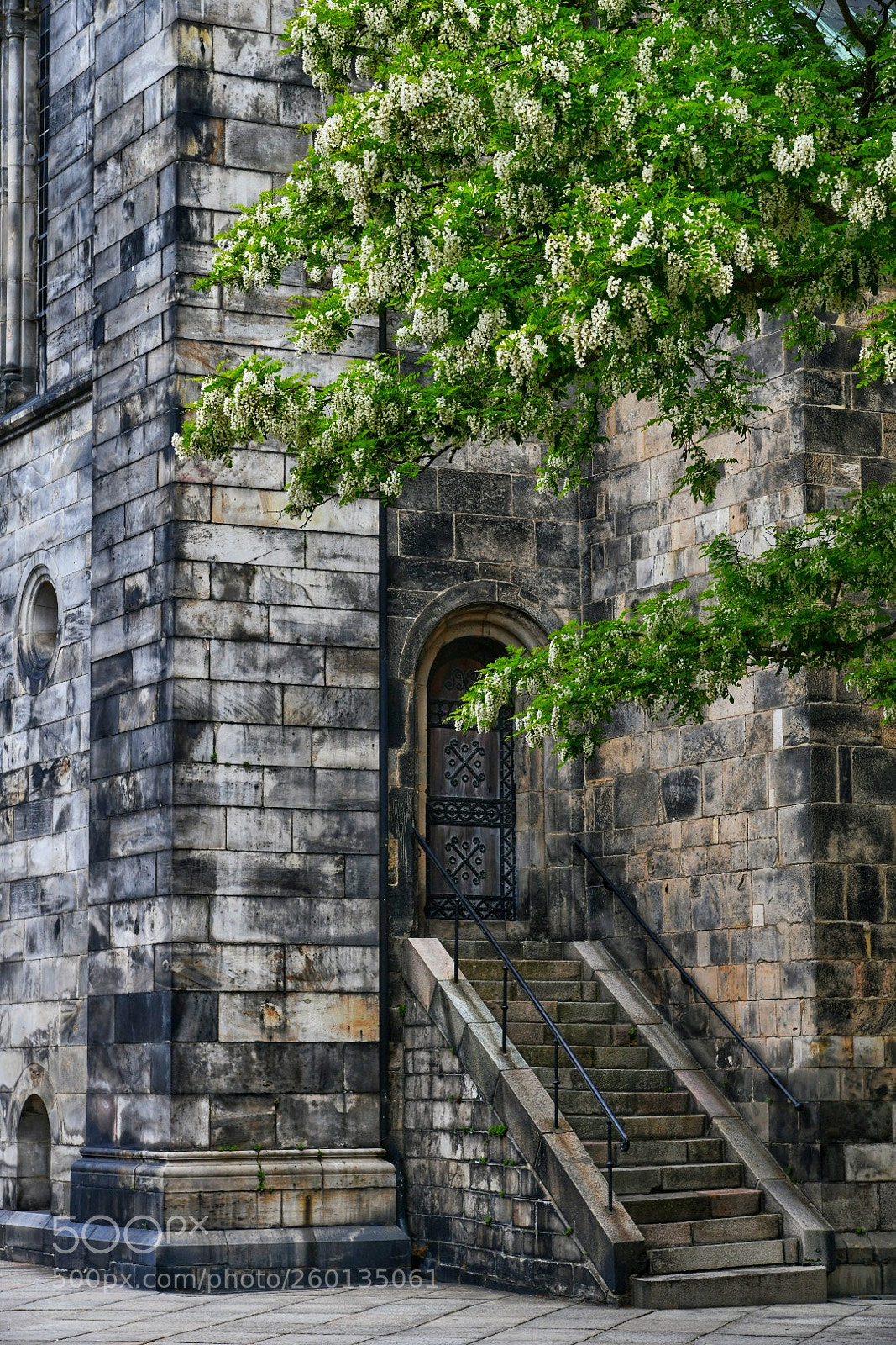 Nikon D850 sample photo. Old-bricks-tree photography