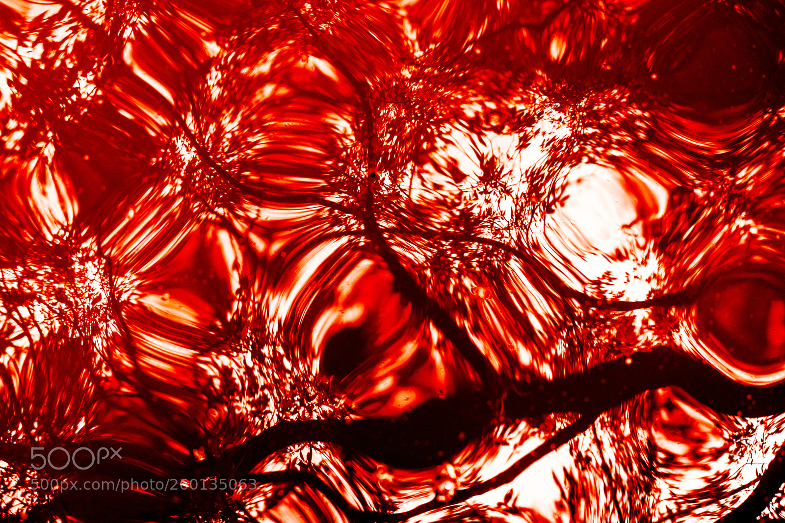 Nikon D5300 sample photo. Blood 2 photography