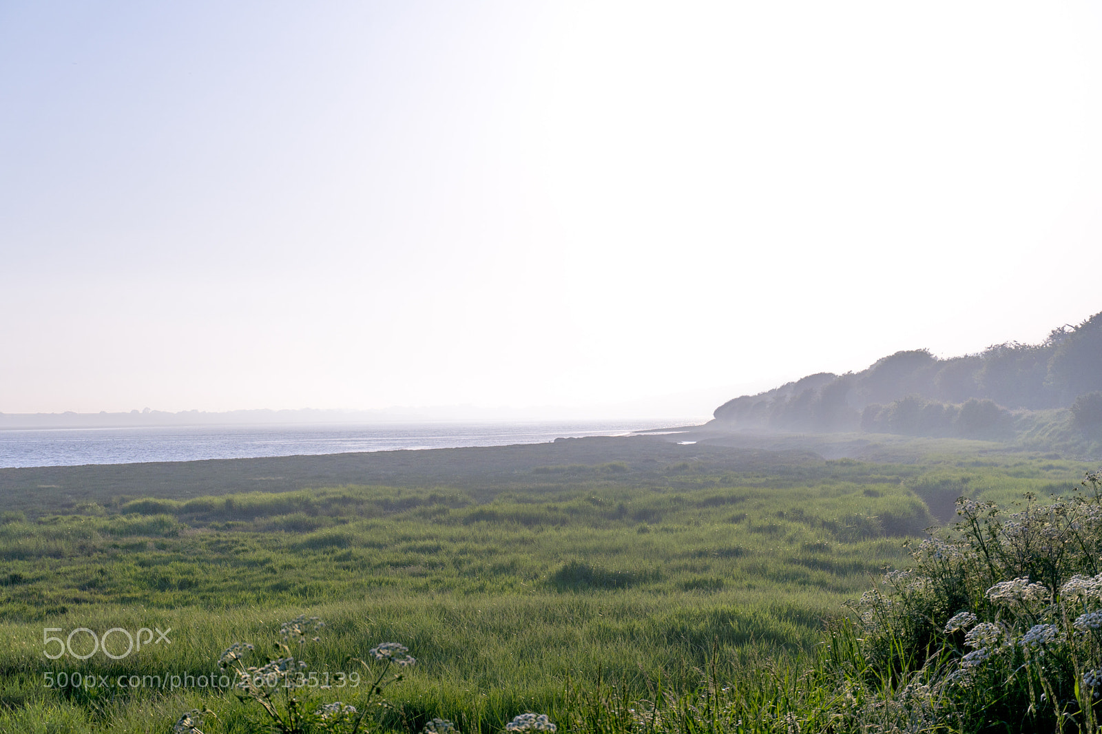 Sony a6500 sample photo. Dsc photography
