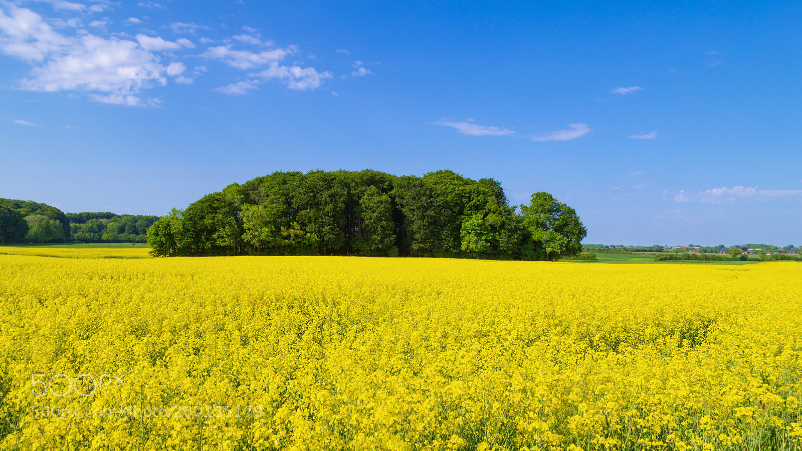 Canon EOS 6D sample photo. Yellow and blue photography