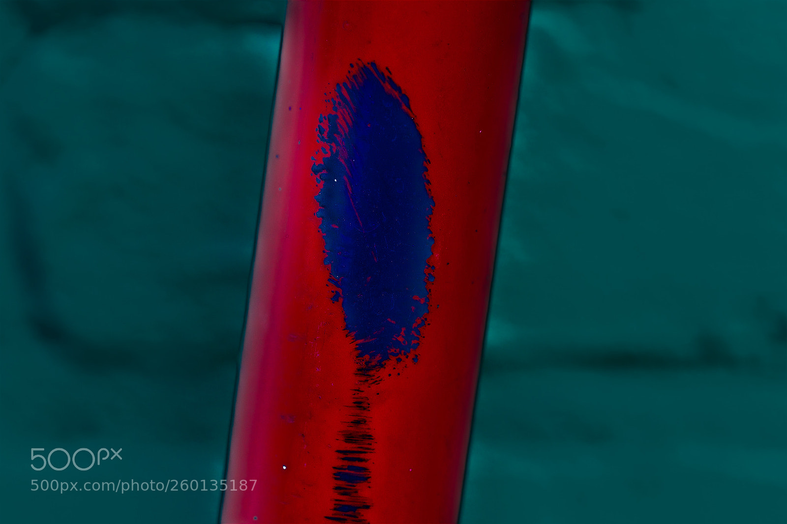 Canon EOS 6D sample photo. Red photography