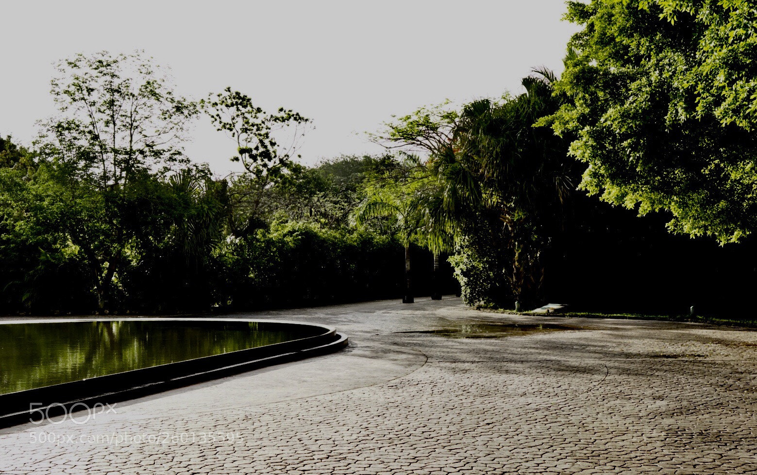Sony a7 II sample photo. Salida de recepción photography
