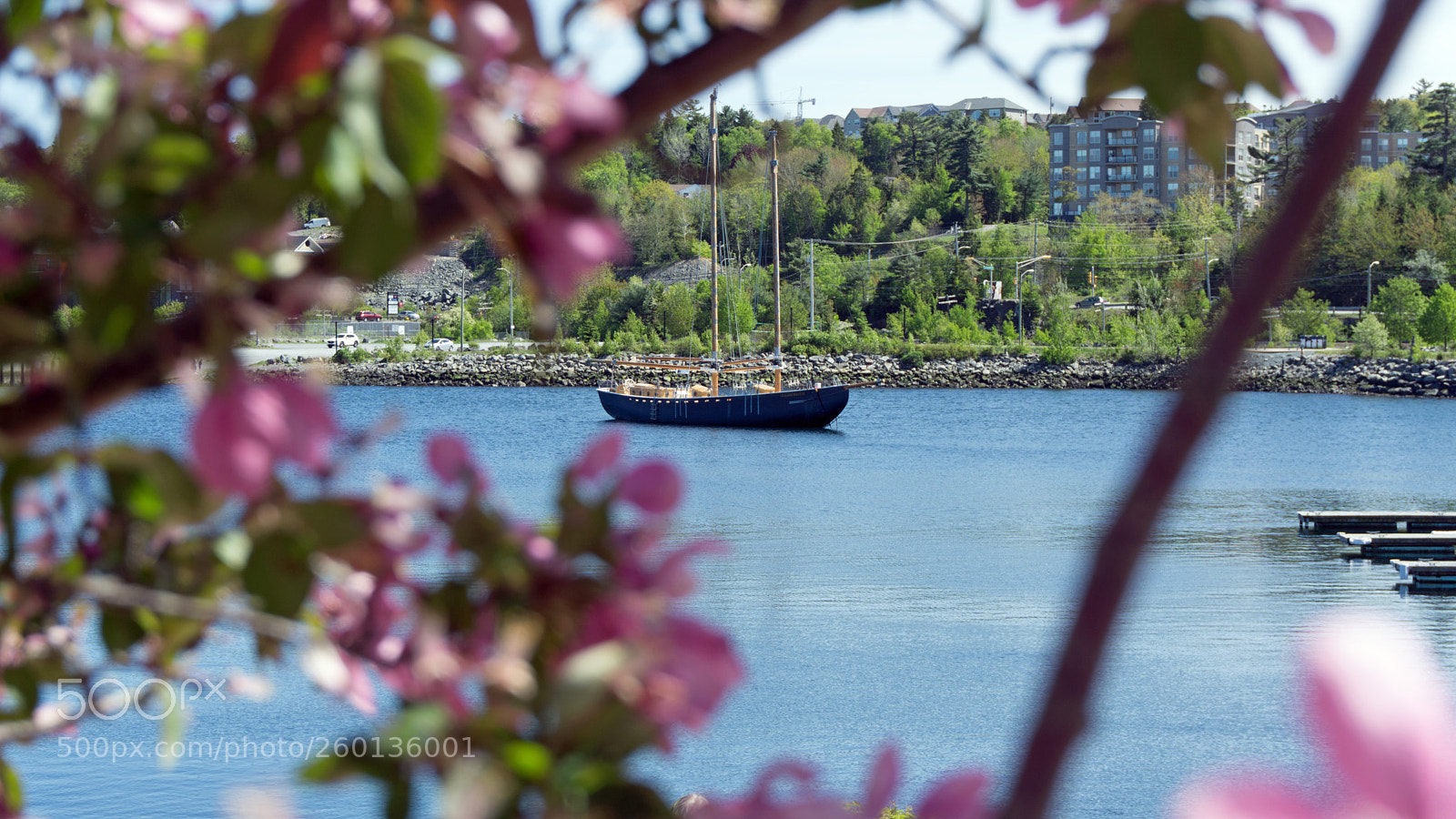 Sony a6000 sample photo. Ship blossoms photography
