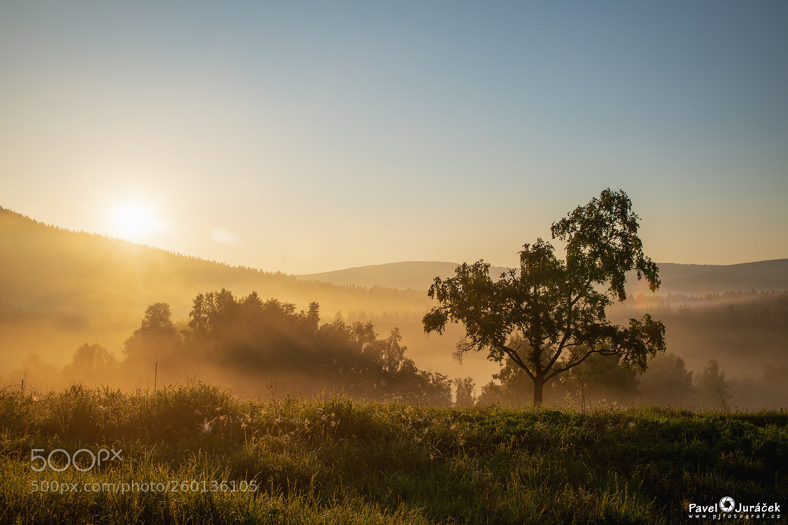 Nikon D5600 sample photo. Šumava jaro 2018 ... 008. photography