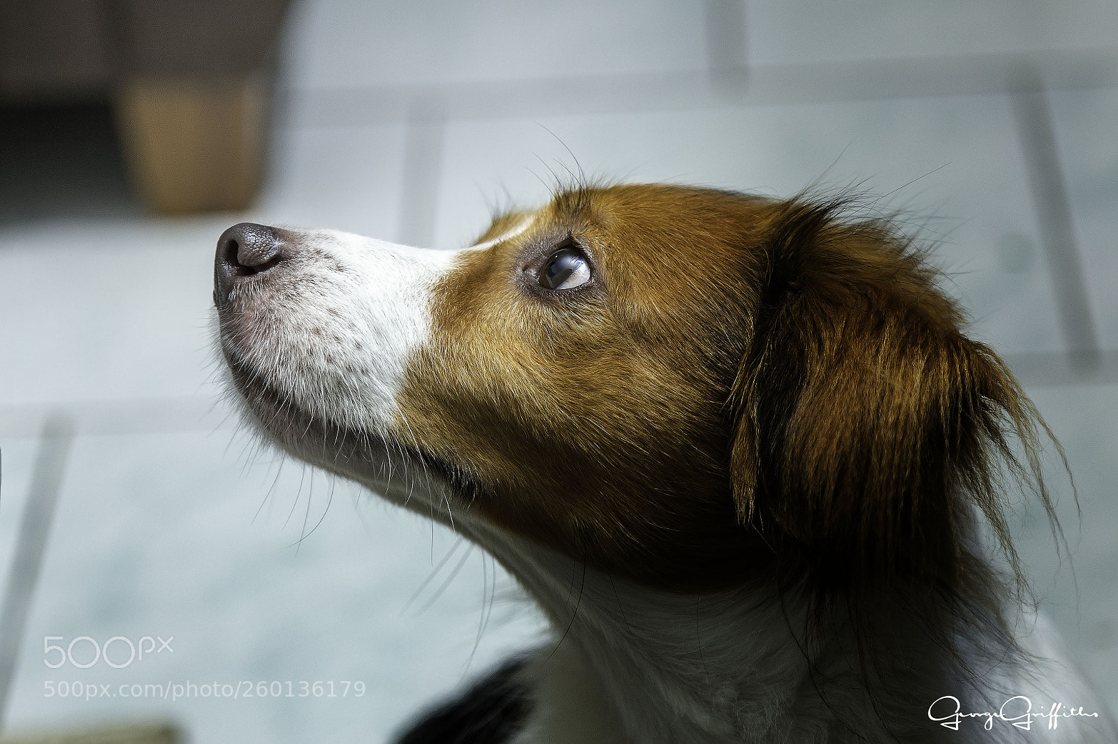 Canon EOS 6D sample photo. Hi pepito! photography