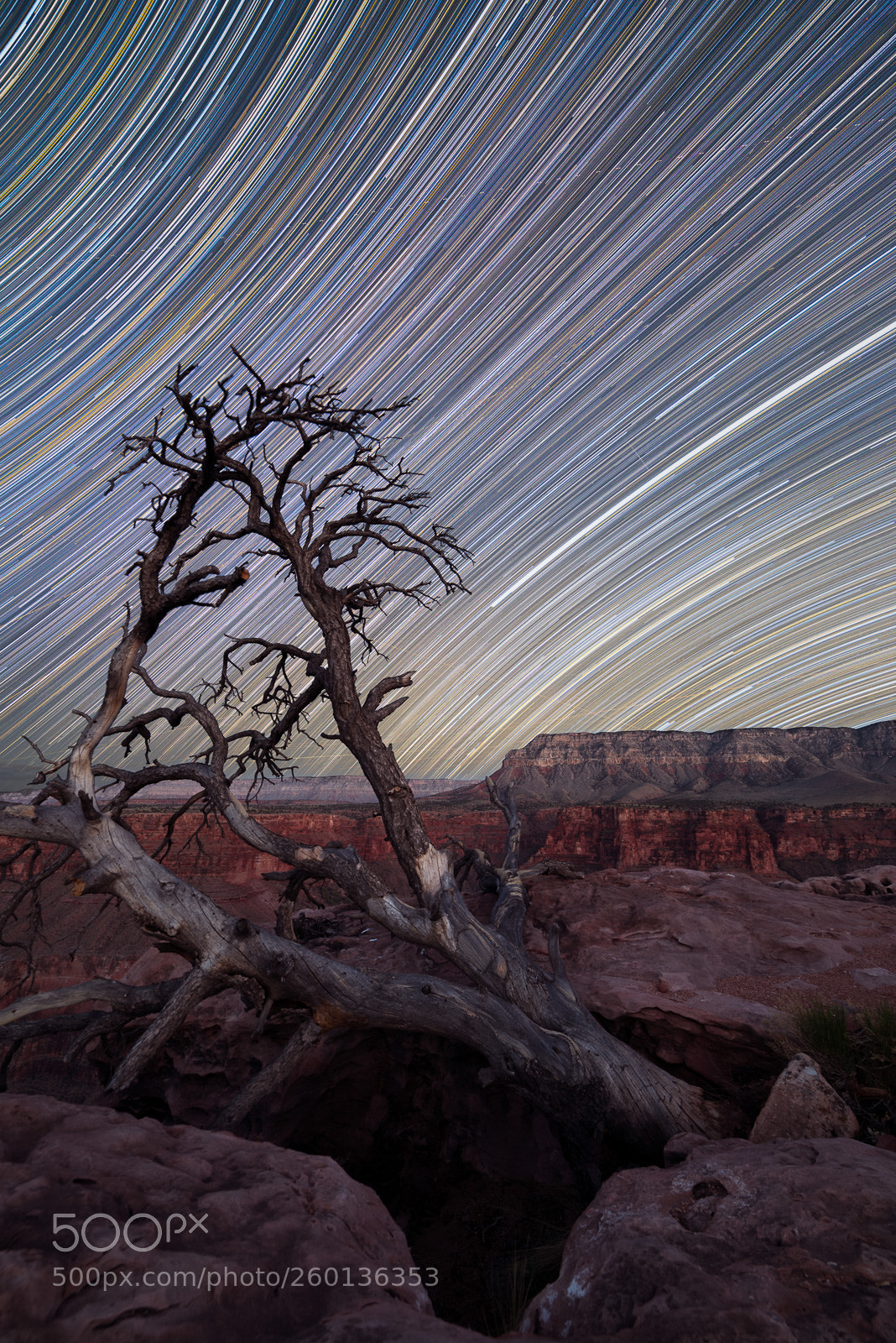 Nikon D600 sample photo. Grand canyon star trails photography