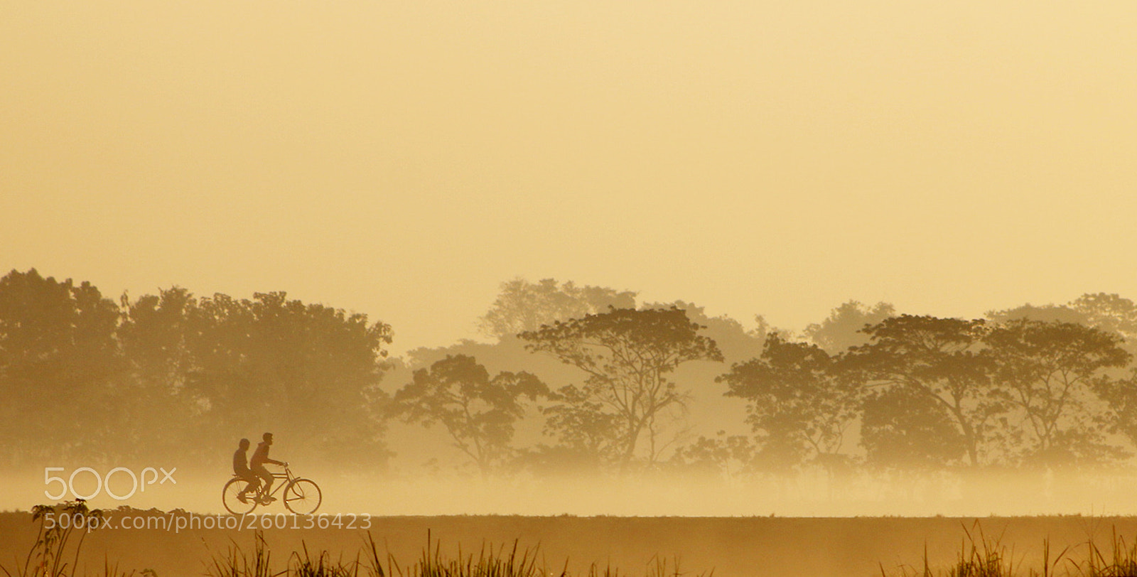 Canon EOS 70D sample photo. Untitled photography