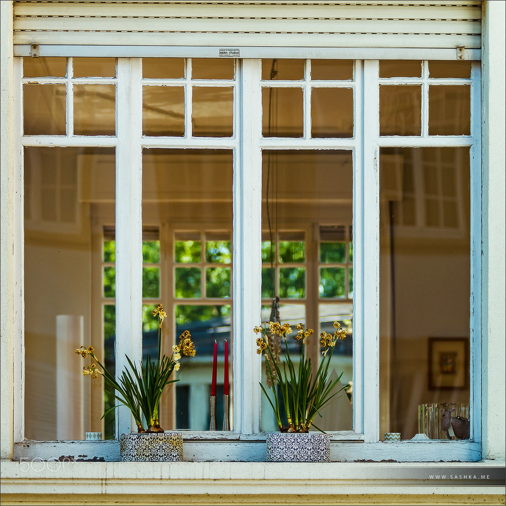 Sony a99 II sample photo. Beautiful old windows in historical center of strasbourg photography