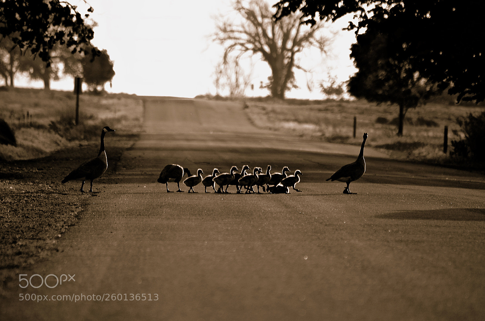 Nikon D7000 sample photo. Family photography