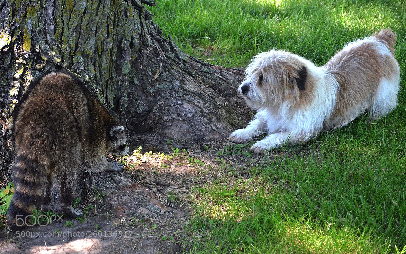 Nikon D7000 sample photo. In this corner photography