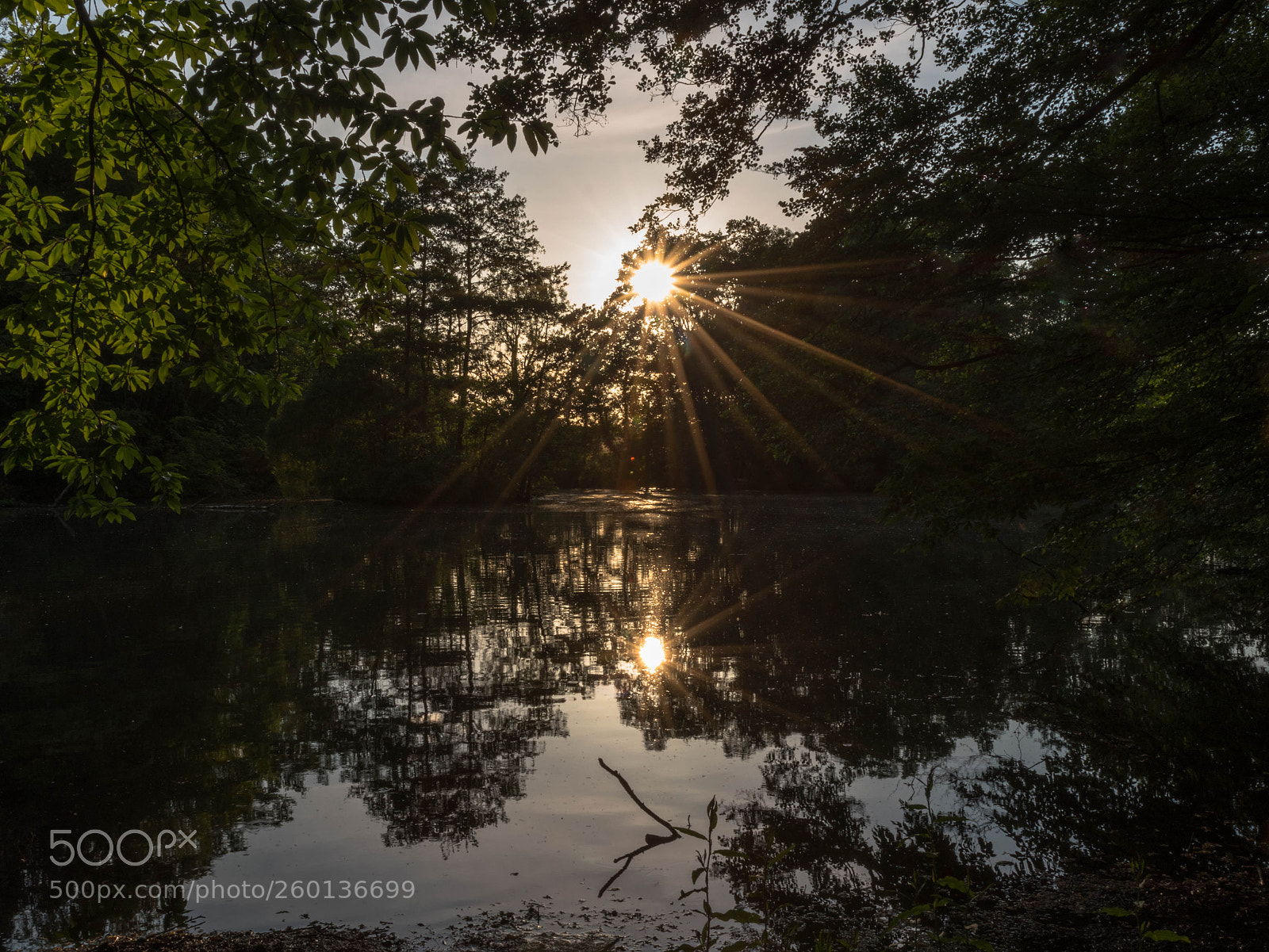 Nikon D5500 sample photo. Untitled photography