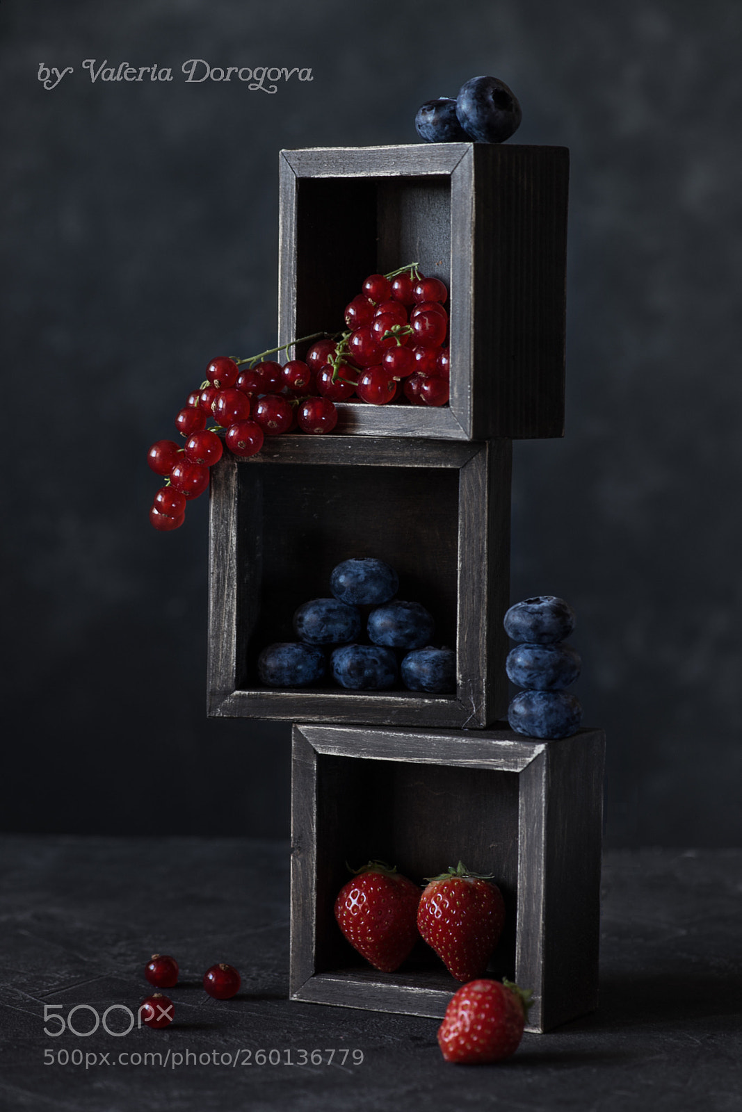 Nikon D610 sample photo. Untitled photography