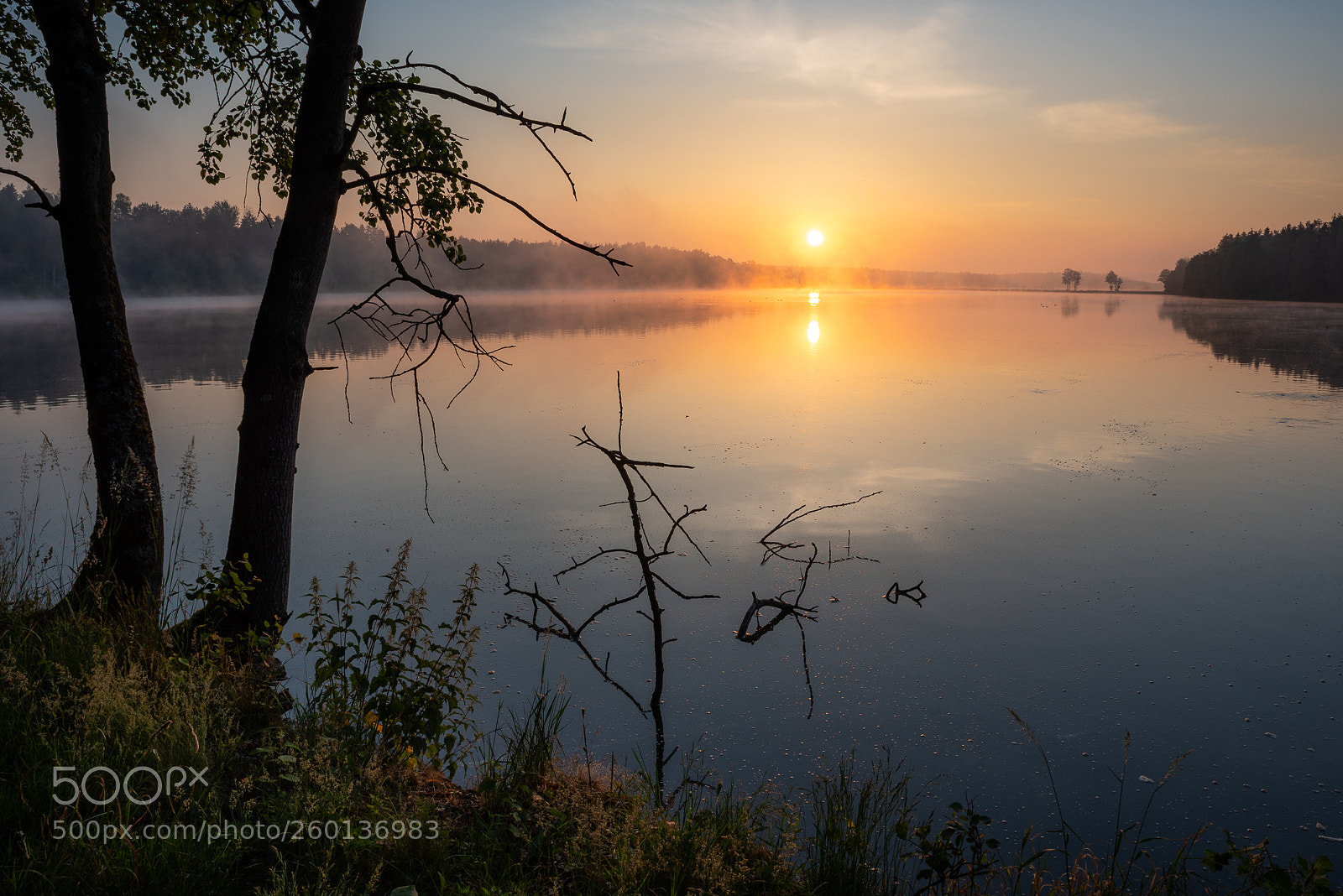 Nikon D750 sample photo. Großer weiher photography