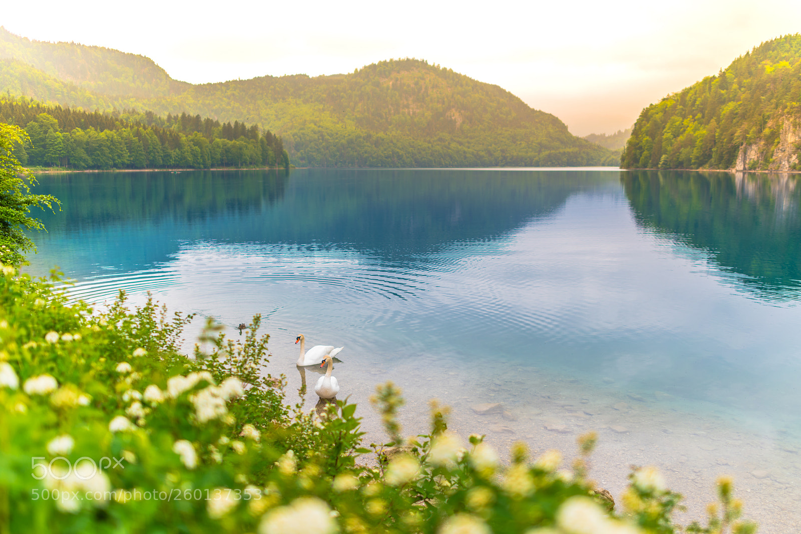Nikon D850 sample photo. Romantic lake scenic with photography