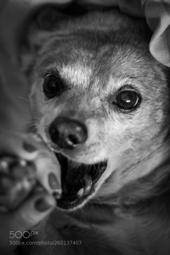 Nikon D5300 sample photo. Untitled photography